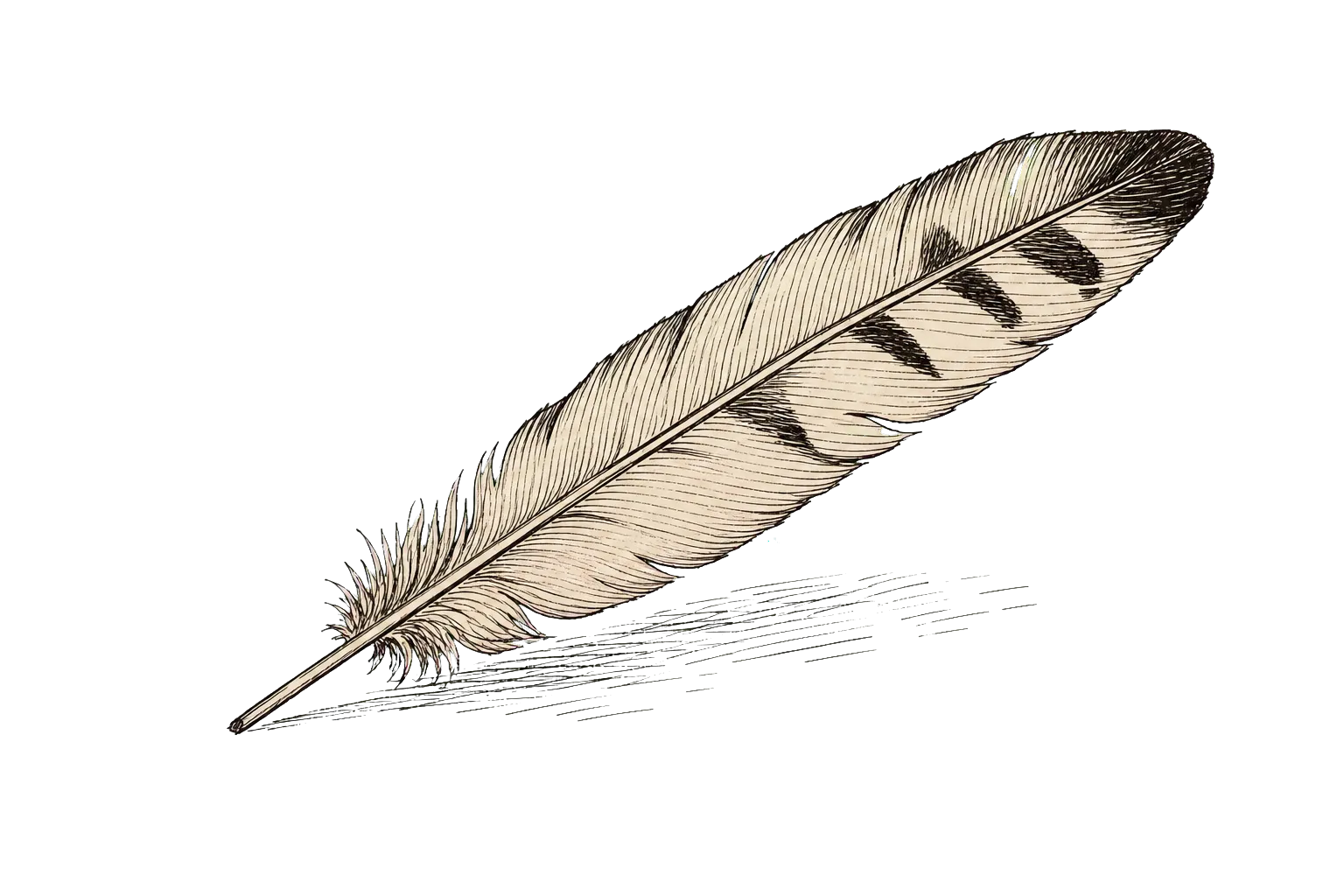 Apache Logo