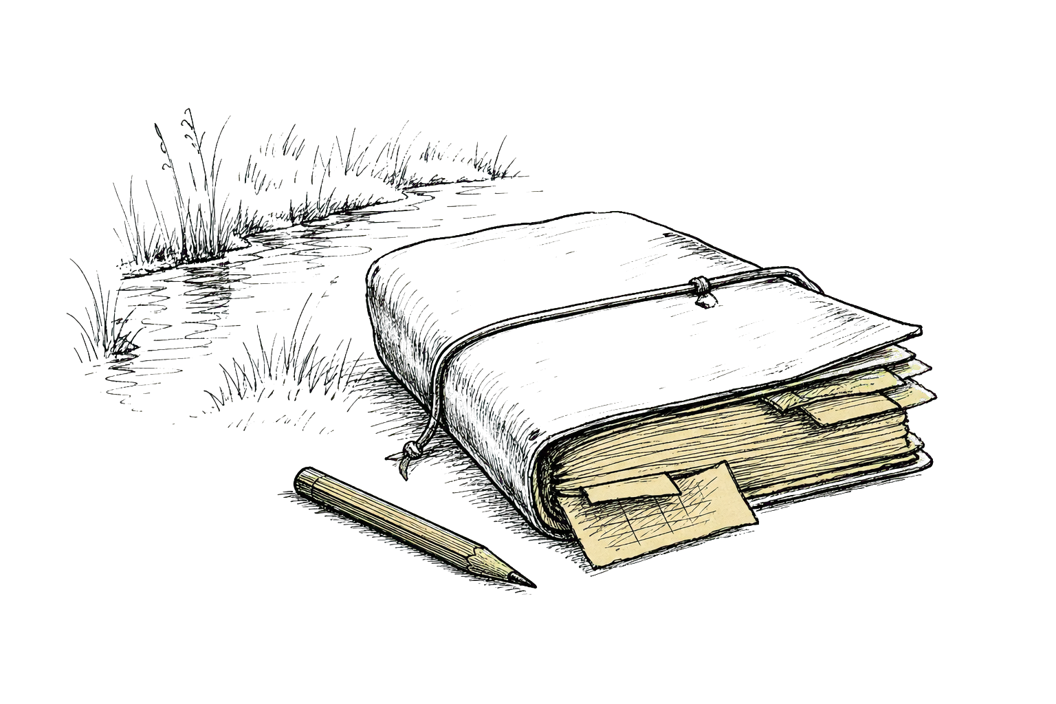 Pen-and-ink tailpiece — closed notebook, cord, pressed leaf, pen